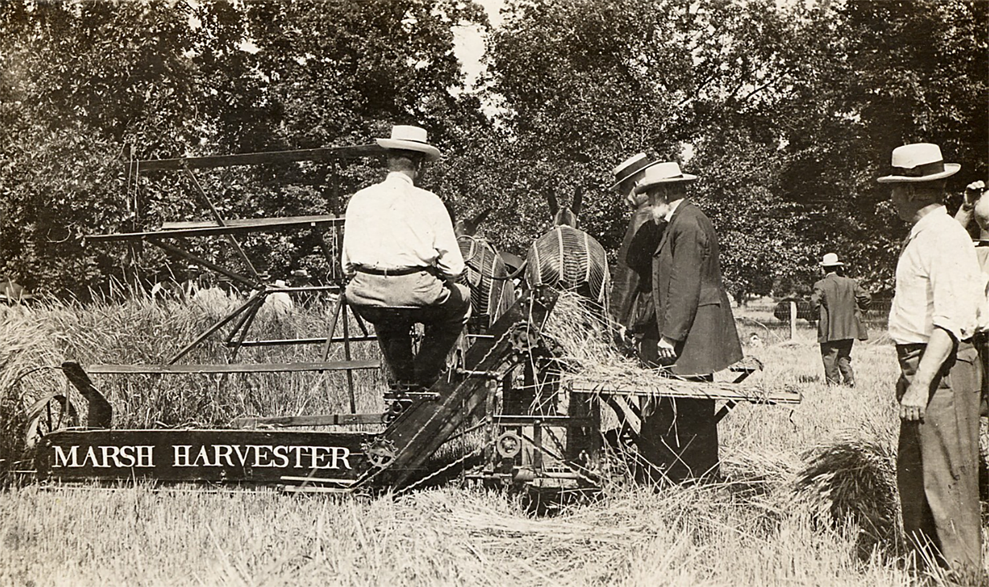 marsh harvester