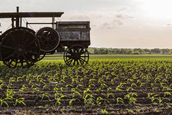 tractor