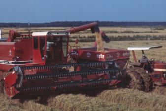 combine in field