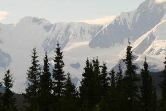 Media Name: blog_grizzlybear_alaska_imagebanner1.jpg