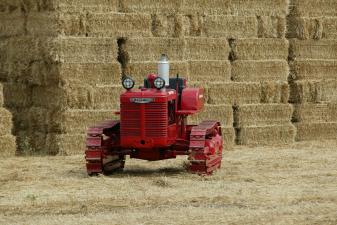 Media Name: t_6_crawler.4.jpg