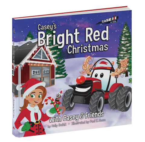 Media Name: caseys_bright_red_christmas_3d_web.png