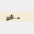 Media Name: botts_begins_promo_freebie_web_banner_1_copy.jpeg
