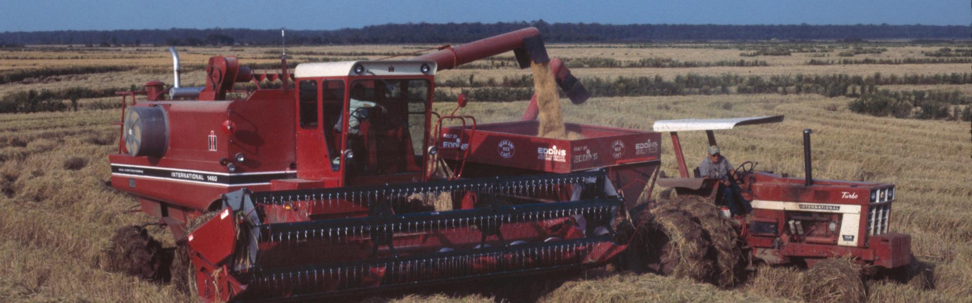 combine in field