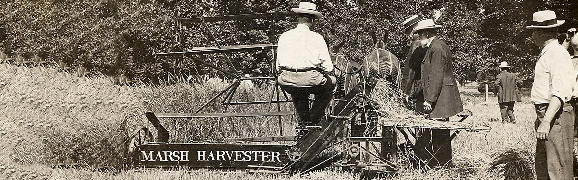 marsh harvester